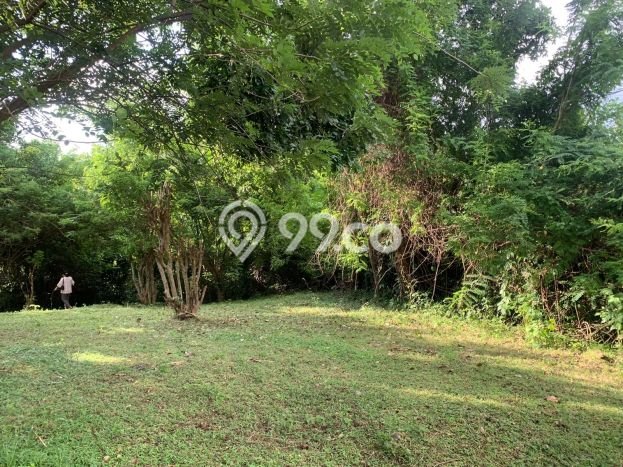 Tanah di Selemadeg, Tabanan Luas 11220m2 Dijual Segera Tanah di Selemadeg, Tabanan Luas 11220m2 Dijual Segera