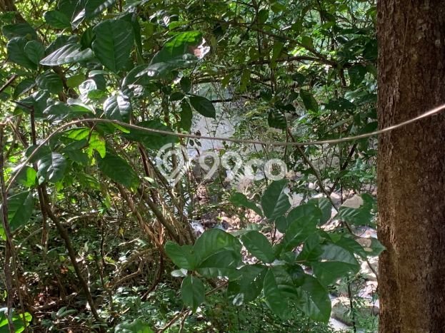 Tanah di Selemadeg, Tabanan Luas 11220m2 Dijual Segera Tanah di Selemadeg, Tabanan Luas 11220m2 Dijual Segera