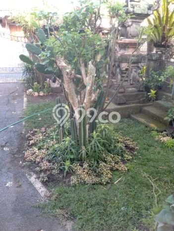 Dijual Tanah Lokasi Ungasan, Badung Seluas 500m2 Dijual Tanah Lokasi Ungasan, Badung Seluas 500m2