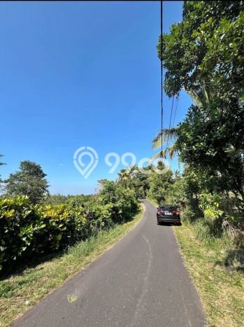 Tanah di Selemadeg, Tabanan Luas 11220m2 Dijual Segera Tanah di Selemadeg, Tabanan Luas 11220m2 Dijual Segera