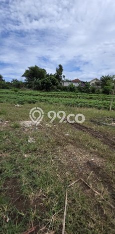 Tanah Kawasan Parung Panjang, Luas 40500m2m², Akses Mudah, Area Prospektif Tanah Kawasan Parung Panjang, Luas 40500m2m², Akses Mudah, Area Prospektif