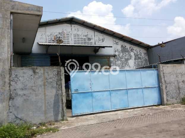 Gudang Bagus Dijual di Margomulyo Surabaya Lokasi Strategis Cocok untuk Kembangkan Bisnis Gudang Bagus Dijual di Margomulyo Surabaya Lokasi Strategis Cocok untuk Kembangkan Bisnis