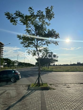Kantor Kawasan Pantai Indah Kapuk 2, Luas 504m², Kawasan Komersial Kantor Kawasan Pantai Indah Kapuk 2, Luas 504m², Kawasan Komersial