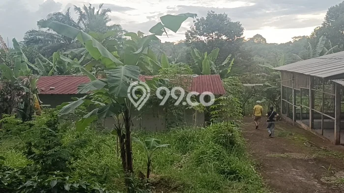 Lahan Kosong Dijual di Jonggol, Bogor, Luas 11000m2 Area Strategis Lahan Kosong Dijual di Jonggol, Bogor, Luas 11000m2 Area Strategis