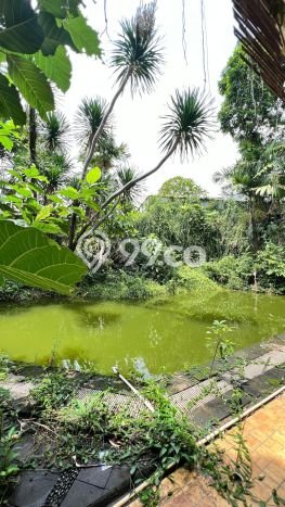Rumah Premium di Jakarta Selatan Lokasi Strategis Kondisi Baik Rumah Premium di Jakarta Selatan Lokasi Strategis Kondisi Baik