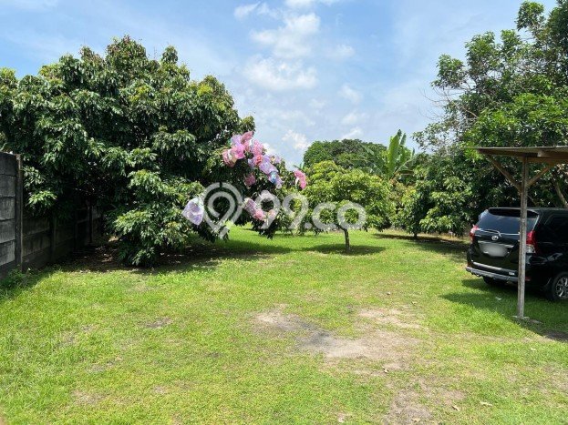 Untuk Dijual Tanah di Berbah Sleman Luas 1443m2 SHM Untuk Dijual Tanah di Berbah Sleman Luas 1443m2 SHM