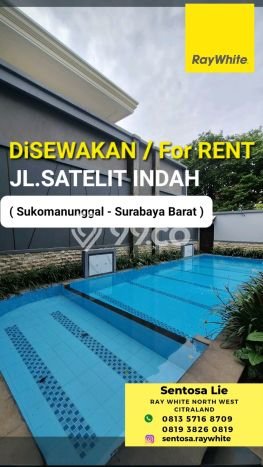 Disewakan Rumah Murah di Sukomanunggal Surabaya Punya 5 KT Disewakan Rumah Murah di Sukomanunggal Surabaya Punya 5 KT