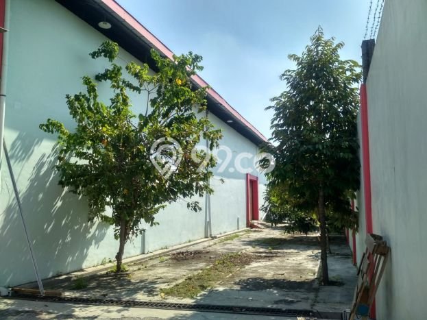 Gudang untuk disewa di Colomadu punya LT 1000m2 & LB 600m2 harga sewa kompetitif Gudang untuk disewa di Colomadu punya LT 1000m2 & LB 600m2 harga sewa kompetitif