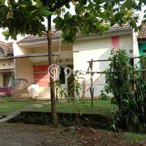 Dijual Rumah Siap Huni di Tigaraksa Tangerang Harga Rp 150 Juta LT 98m2 Dijual Rumah Siap Huni di Tigaraksa Tangerang Harga Rp 150 Juta LT 98m2