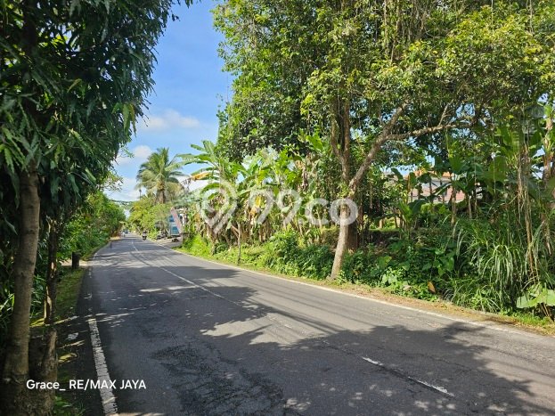Lahan Strategis di Ubud Dijual dengan Luas 3494m2 Lahan Strategis di Ubud Dijual dengan Luas 3494m2