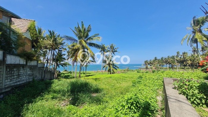 Sewa Tanah Kawasan Seseh, Luas 5500m², Lokasi Strategis Sewa Tanah Kawasan Seseh, Luas 5500m², Lokasi Strategis