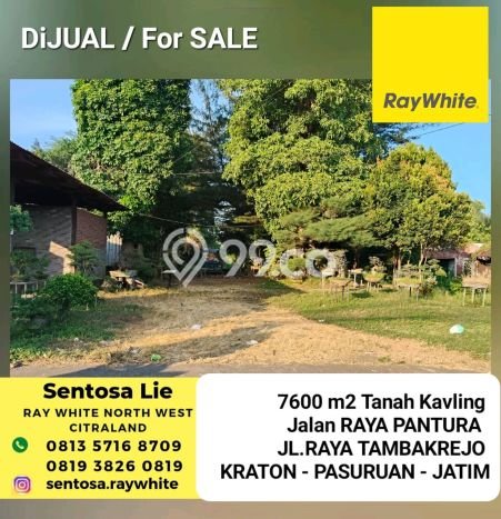 Lahan Dijual Lokasi Kraton, Pasuruan dengan Luas Tanah 7600m2 dan Status SHM Lahan Dijual Lokasi Kraton, Pasuruan dengan Luas Tanah 7600m2 dan Status SHM
