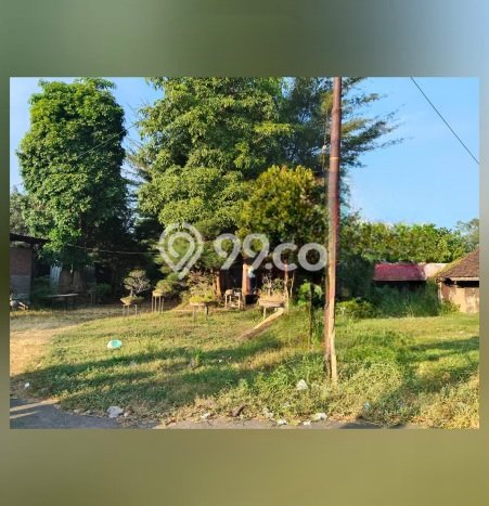 Lahan Dijual Lokasi Kraton, Pasuruan dengan Luas Tanah 7600m2 dan Status SHM Lahan Dijual Lokasi Kraton, Pasuruan dengan Luas Tanah 7600m2 dan Status SHM