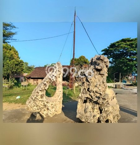 Lahan Dijual Lokasi Kraton, Pasuruan dengan Luas Tanah 7600m2 dan Status SHM Lahan Dijual Lokasi Kraton, Pasuruan dengan Luas Tanah 7600m2 dan Status SHM