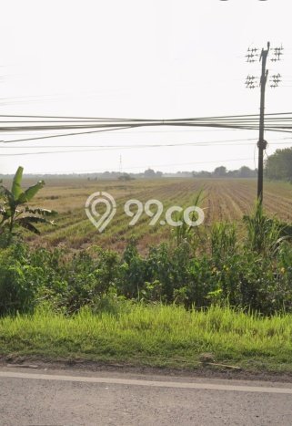Tanah Komersial Dijual di Tembelang Jombang 3840m2 Tanah Komersial Dijual di Tembelang Jombang 3840m2