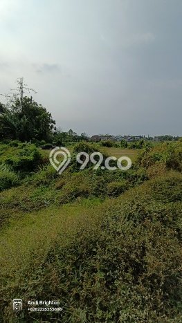 Tanah di Jombang, Jombang Luas 471m2 Dijual Segera Tanah di Jombang, Jombang Luas 471m2 Dijual Segera