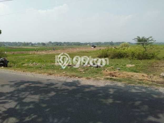Tanah untuk Dijual di Jombang Jombang Luas 4104m2 Tanah untuk Dijual di Jombang Jombang Luas 4104m2