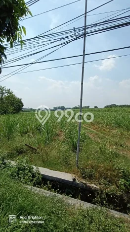 Lahan Strategis di Perak Dijual dengan Luas 16850m2 Lahan Strategis di Perak Dijual dengan Luas 16850m2