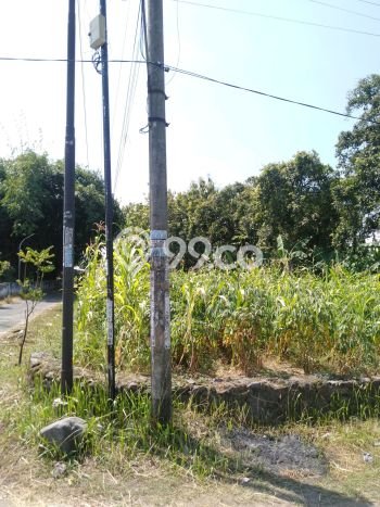 Tanah Dijual Lokasi Jombang, Jombang Luas 2829m2 Legalitas Aman Tanah Dijual Lokasi Jombang, Jombang Luas 2829m2 Legalitas Aman