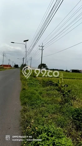 Tanah di Mojowarno, Jombang Luas 14446m2 Dijual Segera Tanah di Mojowarno, Jombang Luas 14446m2 Dijual Segera