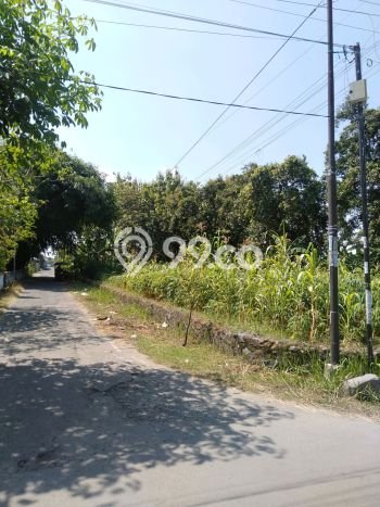 Tanah Dijual Lokasi Jombang, Jombang Luas 2829m2 Legalitas Aman Tanah Dijual Lokasi Jombang, Jombang Luas 2829m2 Legalitas Aman
