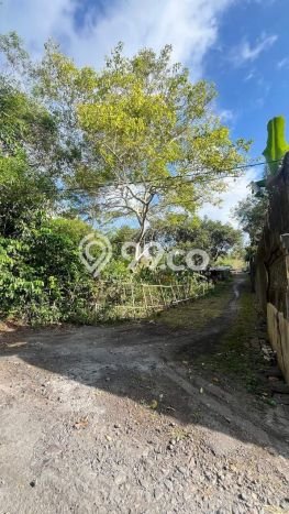 Tanah Dijual Area Strategis di Jimbaran Badung 1000m2 Tanah Dijual Area Strategis di Jimbaran Badung 1000m2