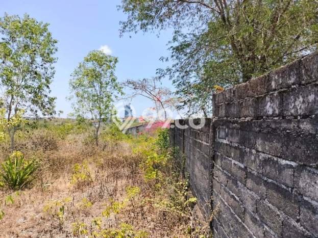 Kavling Tanah di Kuta Selatan Dijual Luas 3000m2 Legalitas SHM Kavling Tanah di Kuta Selatan Dijual Luas 3000m2 Legalitas SHM