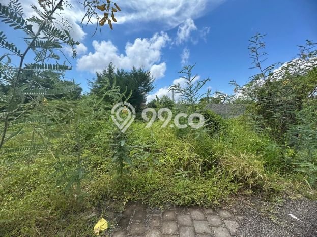 Untuk Dijual Tanah 200m2 di Umalas, Badung Untuk Dijual Tanah 200m2 di Umalas, Badung
