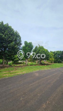 Tanah Kavling Dijual di Jimbaran, Badung dengan Luas Tanah 4653m2 Tanah Kavling Dijual di Jimbaran, Badung dengan Luas Tanah 4653m2