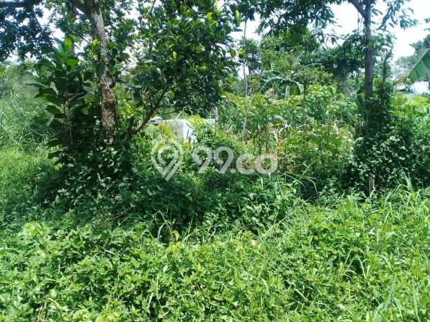 Tanah Strategis Kawasan , Luas 1000m2m², Dekat Bandung, Bandung Tanah Strategis Kawasan , Luas 1000m2m², Dekat Bandung, Bandung