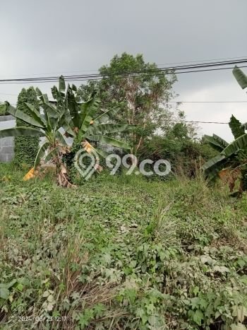 Kavling Tanah Dijual di Citangkil, Cilegon, Luas 2000m2 Area Strategis Kavling Tanah Dijual di Citangkil, Cilegon, Luas 2000m2 Area Strategis