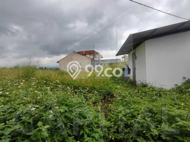 Kavling Tanah di Padalarang Dijual Luas 1600m2 Legalitas SHM Kavling Tanah di Padalarang Dijual Luas 1600m2 Legalitas SHM