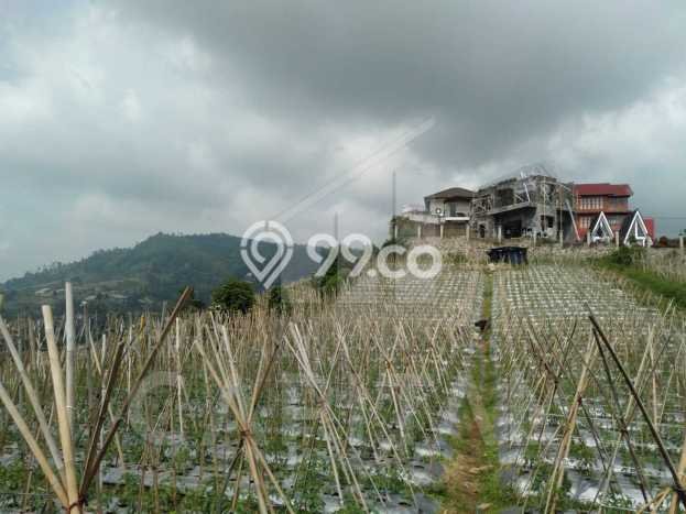 Jarang Ada! Tanah di Lembang Punya Luas 334m2 SHM Jarang Ada! Tanah di Lembang Punya Luas 334m2 SHM