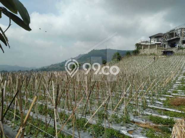 Jarang Ada! Tanah di Lembang Punya Luas 334m2 SHM Jarang Ada! Tanah di Lembang Punya Luas 334m2 SHM