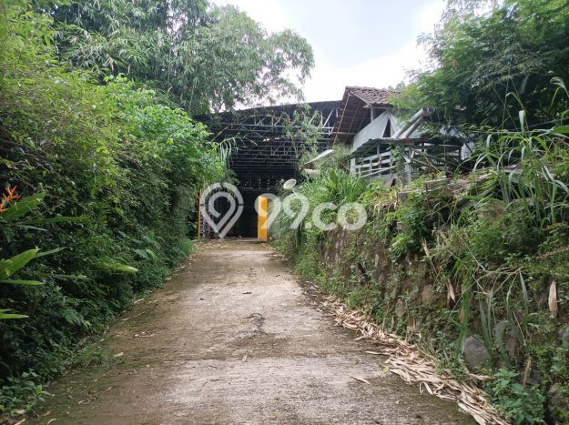 Unit Gudang Dijual di Salatiga LT 10000m2 & LB 2500m2 Unit Gudang Dijual di Salatiga LT 10000m2 & LB 2500m2