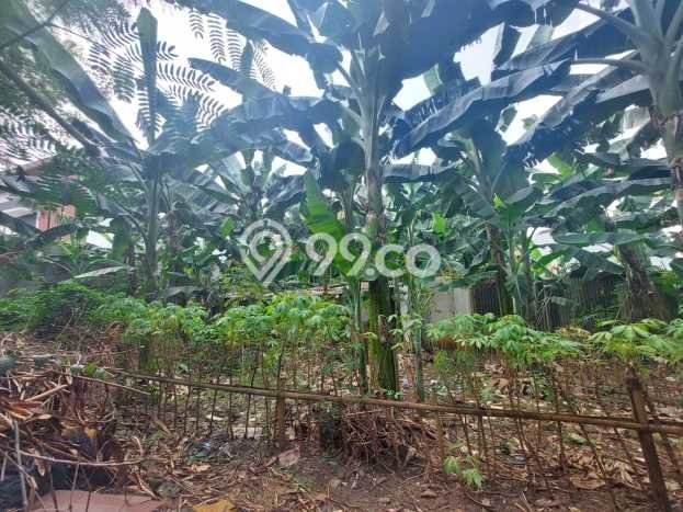 Kavling Tanah di Pesanggrahan Dijual Luas 810m2 Legalitas SHM Kavling Tanah di Pesanggrahan Dijual Luas 810m2 Legalitas SHM