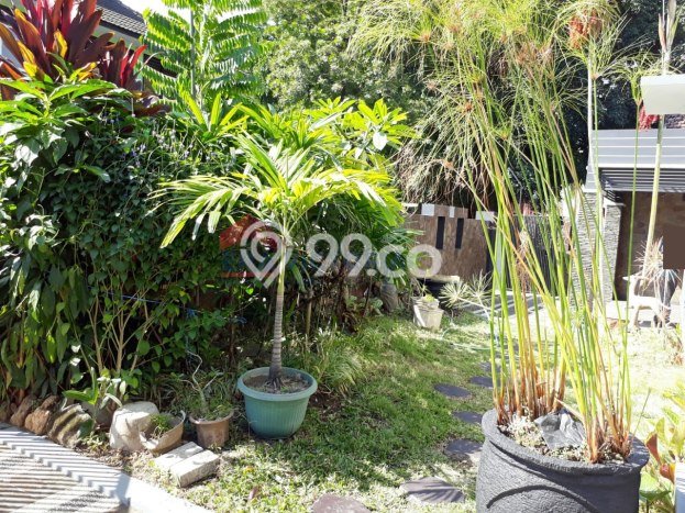 Rumah Bagus Siap Huni Di Sukun Luas 120m2 Lokasi Strategis Rumah Bagus Siap Huni Di Sukun Luas 120m2 Lokasi Strategis