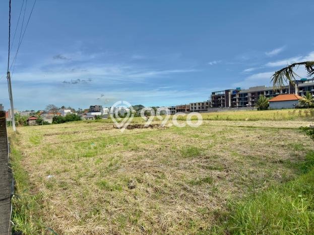 Disewakan Tanah di Badung, Luas 1500m2 Area Berkembang Disewakan Tanah di Badung, Luas 1500m2 Area Berkembang