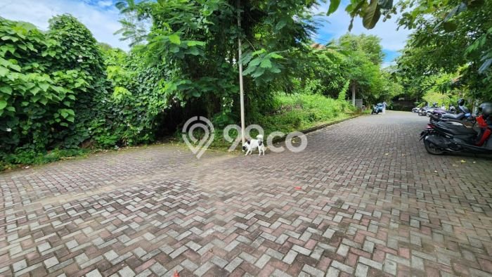 Tanah Kavling Dijual di Pererenan, Badung dengan Luas Tanah 2527m2 Tanah Kavling Dijual di Pererenan, Badung dengan Luas Tanah 2527m2