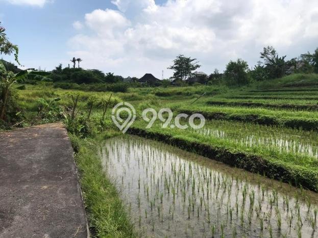 Tanah Dijual di Badung Seluas 2100m2 Strategis Tanah Dijual di Badung Seluas 2100m2 Strategis