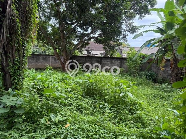 Untuk Dijual Tanah di Badung, Luas 2250m2 SHM Untuk Dijual Tanah di Badung, Luas 2250m2 SHM