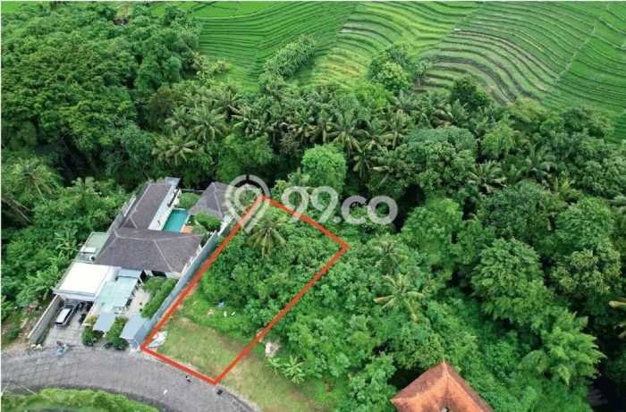 Tanah Dijual Area Strategis di Kedungu Tabanan 3200m2 Tanah Dijual Area Strategis di Kedungu Tabanan 3200m2