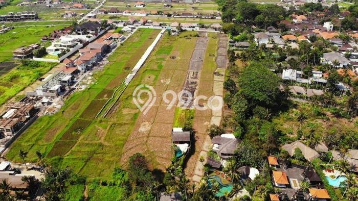 Kavling Tanah untuk Dijual di Seseh, Badung, Luas 1500m2 Kavling Tanah untuk Dijual di Seseh, Badung, Luas 1500m2