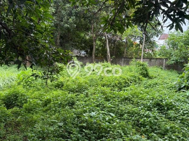 Untuk Dijual Tanah di Badung, Luas 2250m2 SHM Untuk Dijual Tanah di Badung, Luas 2250m2 SHM
