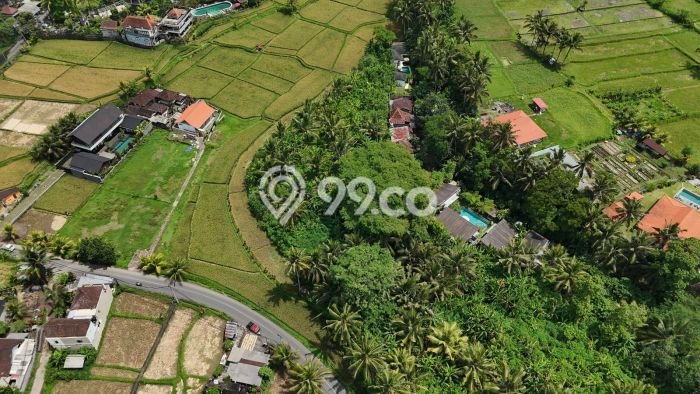 Tanah Dijual Lokasi Ubud, Gianyar Luas 5600m2 Legalitas Aman Tanah Dijual Lokasi Ubud, Gianyar Luas 5600m2 Legalitas Aman