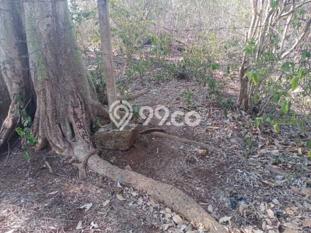 Dijual Tanah 6675m2 di Balangan, Badung Dijual Tanah 6675m2 di Balangan, Badung