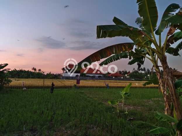 Dapatkan segera Vila di , Area 254m2m², Dekat mudah transportasi Dapatkan segera Vila di , Area 254m2m², Dekat mudah transportasi