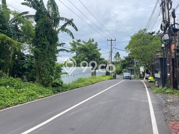Tanah Kavling Dijual di Canggu, Badung dengan Luas Tanah 990m2 Tanah Kavling Dijual di Canggu, Badung dengan Luas Tanah 990m2