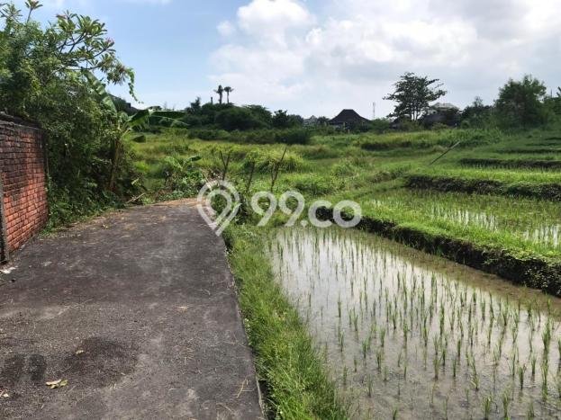 Tanah Dijual di Badung Seluas 2100m2 Strategis Tanah Dijual di Badung Seluas 2100m2 Strategis