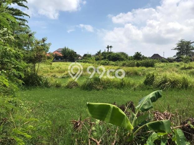Tanah Dijual di Badung Seluas 2100m2 Strategis Tanah Dijual di Badung Seluas 2100m2 Strategis